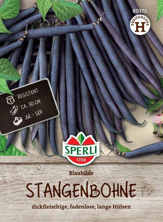 Sperli Stangenbohne Blauhilde (Pflanzensamen)