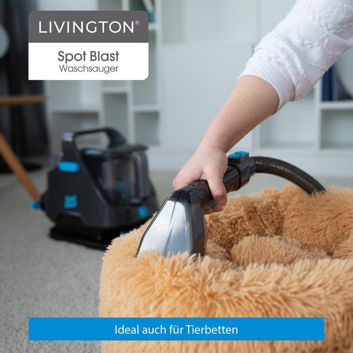 Actual product image Livington Spot Blast