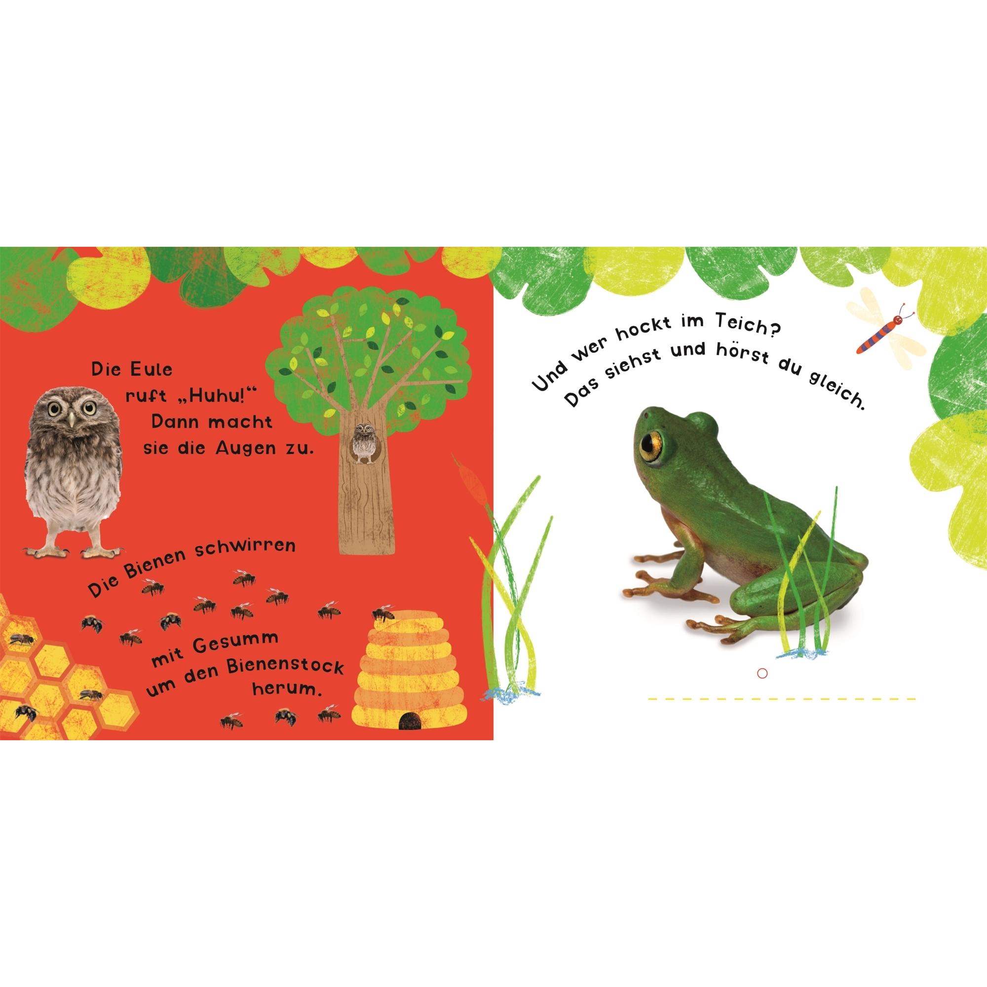 Thumbnail - Dorling Kindersley, Babybücher, Tiere (Deutsch)