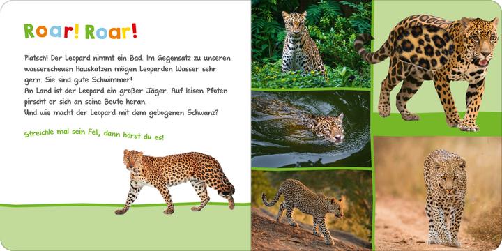 Produktbild Hör mal rein, wer kann das sein? Im Dschungel (Deutsch, 2018)