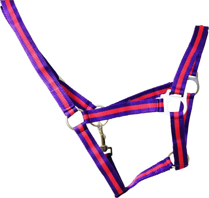 Produktbild Hy Duo Halfter