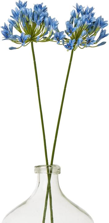 Immagine prodotto Hill Interiors Agapanto Fiore Artificiale Spray (75 cm)
