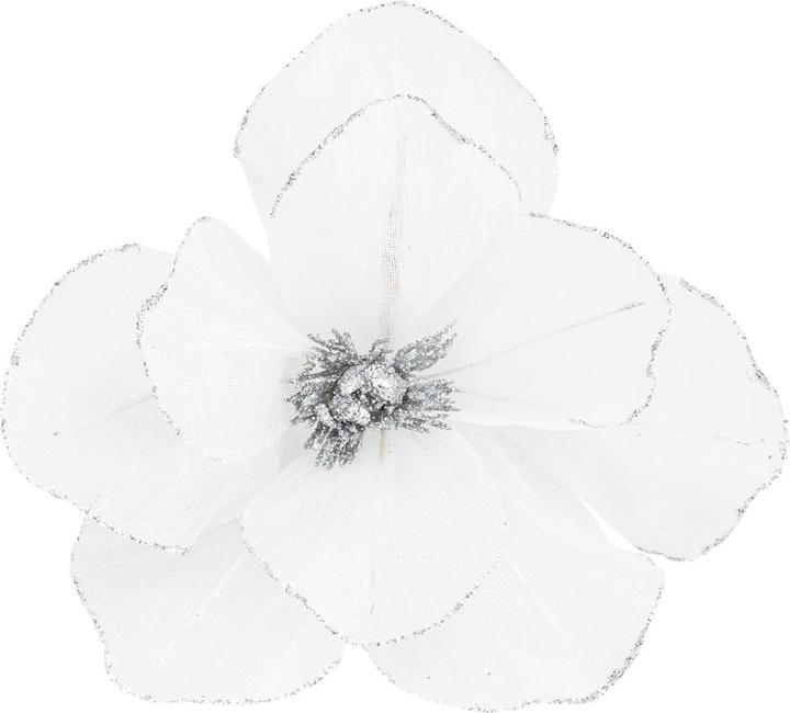 Produktbild pfister Celebration (1x)