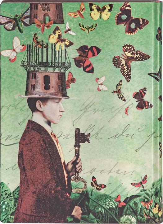 Image du produit Paperblanks Flexis DreamscapesMidiLIN (À rayures, Couverture rigide)