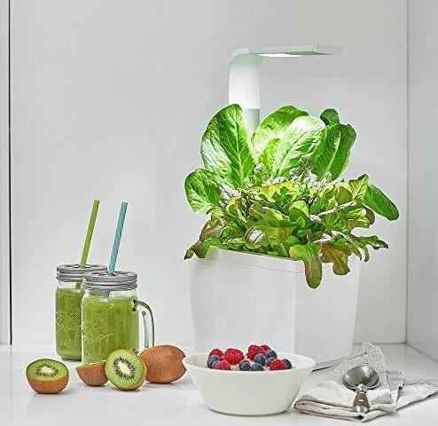 Produktbild Tregren Kräutertopf T3 (19.50 cm)
