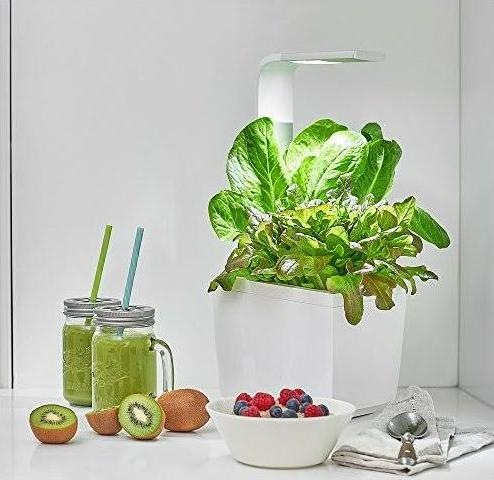 Produktbild Tregren Kräutertopf T3 (19.50 cm)