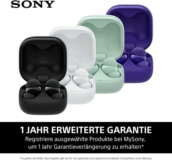 Image du produit Sony WF-LS910N (NC, 5.50 h, Sans fil)
