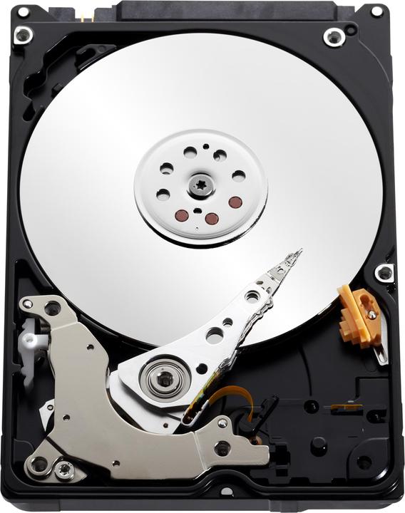 Productafbeelding WD Blauw Mobiel (0.50 TB, 2.5", CMR)