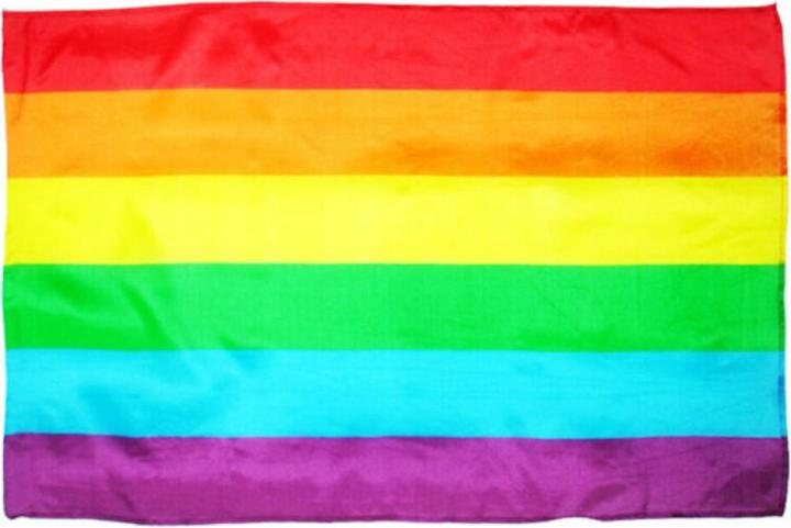 Stolz - Lgbt Mittlere Flagge
