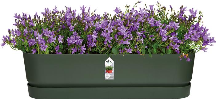 Image du produit Elho Caissette à fleurs (19.10 cm)