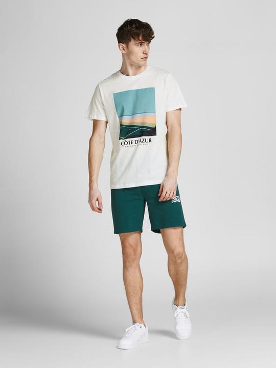 Image du produit Jack & Jones Magazines (L)