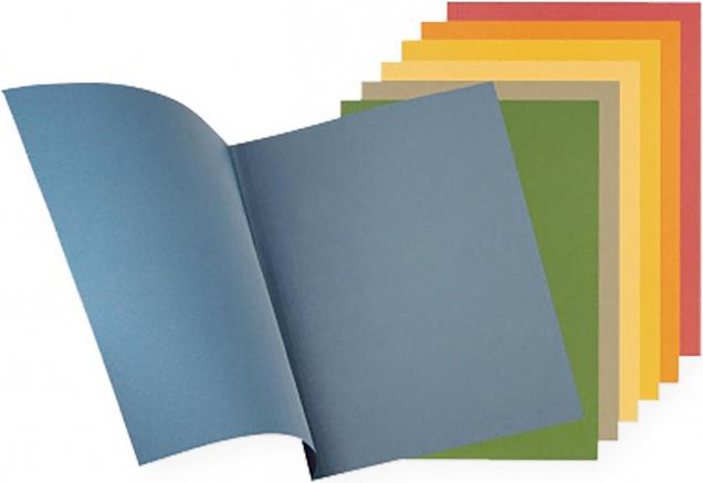Actual product image Falken File Cover Cardboard, Blue (A4, 100 x)