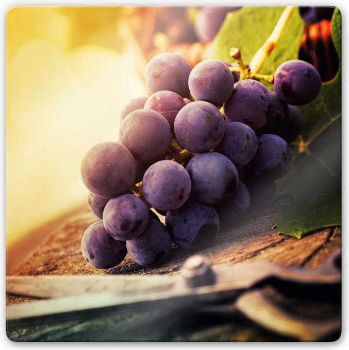 Image du produit Trenddeko Vendanges (30 x 30 cm)