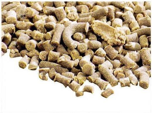 Produktbild Hobby Infusorien mit Spirulina Protogen 20 ml (Zierfische, 20 ml)