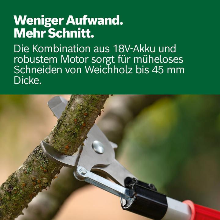 Actual product image Bosch Home & Garden AdvancedPrune