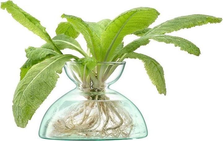 Image du produit LSA Canopy Vase H9.5cm - recy. Optik (1 x)