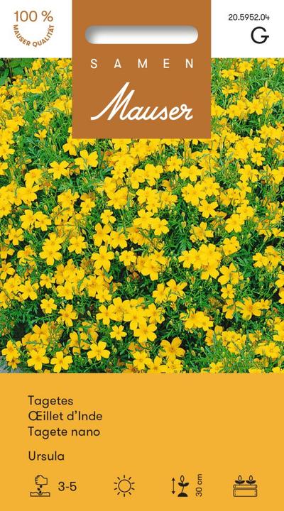Image du produit Samen Mauser Tagetes Ursula (Graines de fleurs)