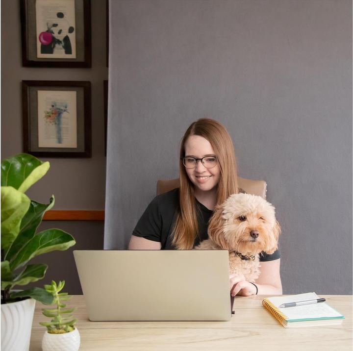 Actual product image Westcott 620 X-Drop (152.40 cm, 213.36 cm)