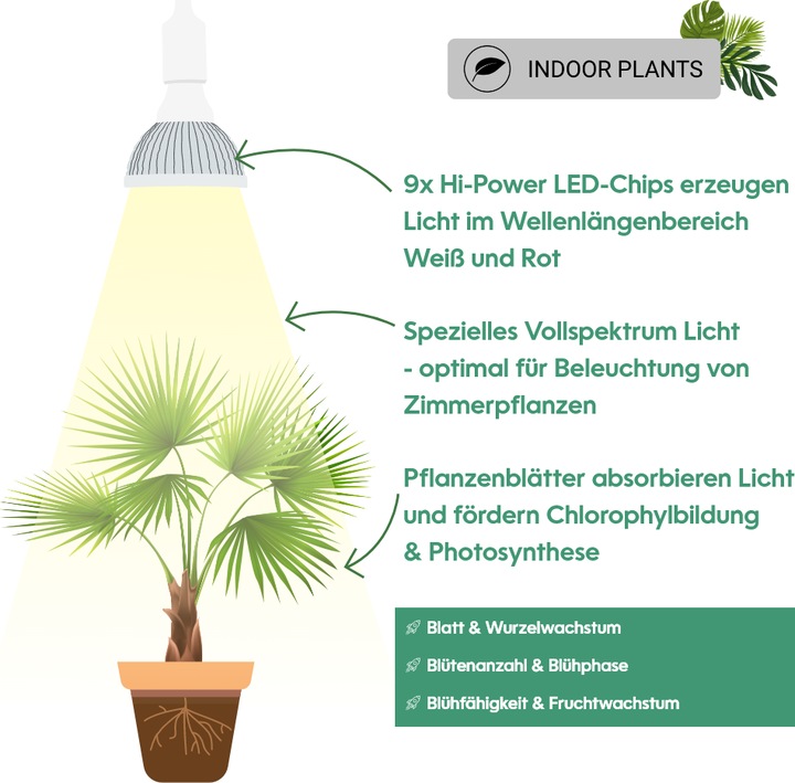 Produktbild Venso Grow Light Standard (LED, 245 V)