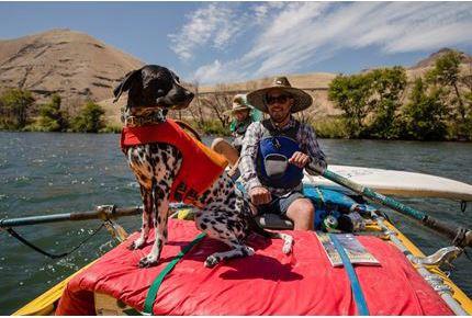 Productafbeelding Ruffwear Zwemvest voor honden (Hondenzwemvest)