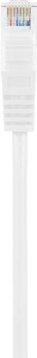 Actual product image Renkforce RF-5043832 RJ45 network cable, patch cable CAT 5e U/UTP 0.50 m White with (U/UTP, CAT5e, 0.50 m)