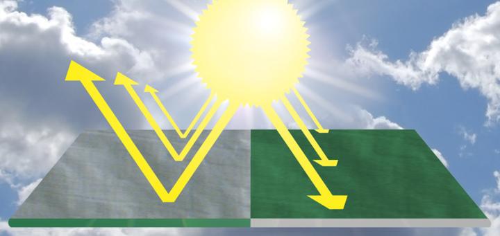 Produktbild Windhager Schutz-Plane Geotex (5x6 Meter) (5 x 6 m)