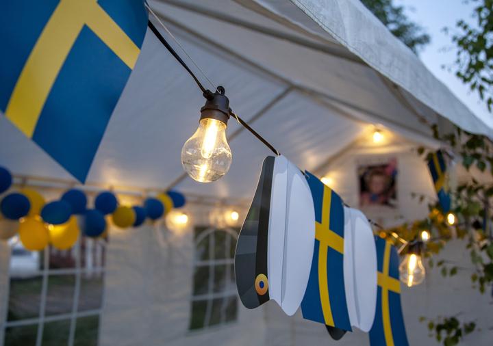 Actual product image Star Trading Selecta light chain (1.36 m)