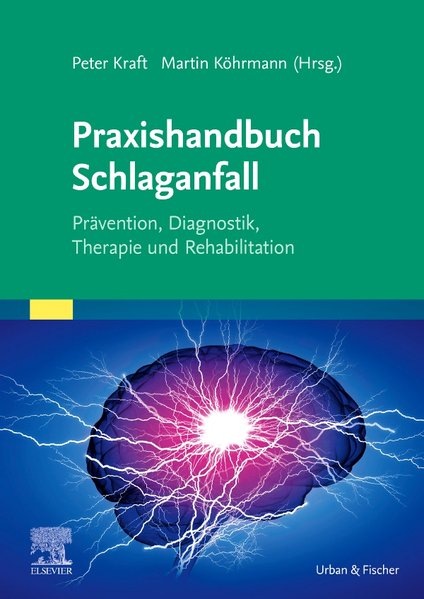 Produktbild Praxishandbuch Schlaganfall (Deutsch, Peter Kraft, Martin Köhrmann, 2020)