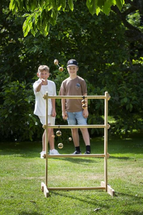Immagine prodotto Bex Sport Spin Ladder Pro
