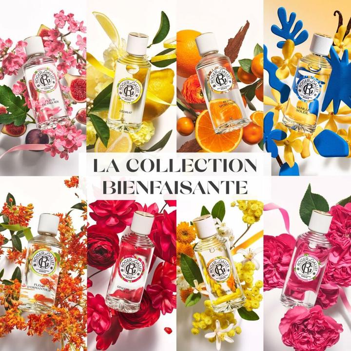 Immagine prodotto Roger & Gallet Parfum solido alla rosa (Eau de parfum)