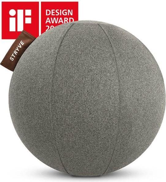 Actual product image Stryve Active 70 cm exercise ball (70 cm)