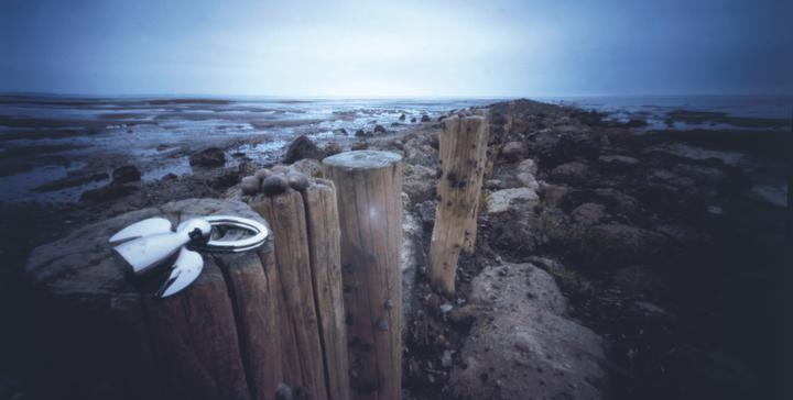 Image du produit Philippi Angelo