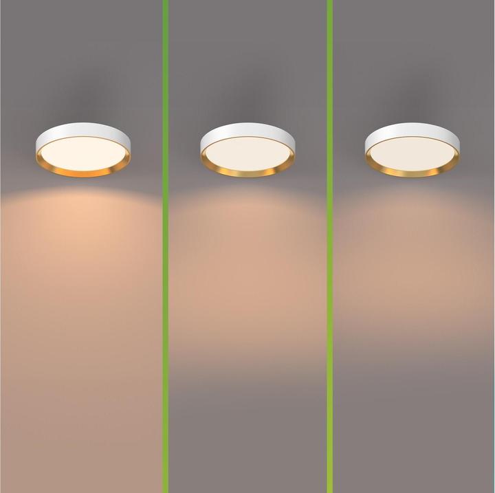 Produktbild Philips Hanno (2700 lm)