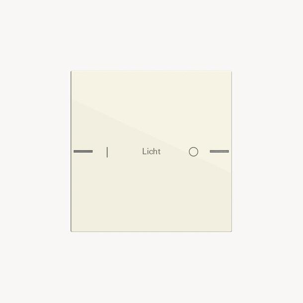 Actual product image Gira Rocker set