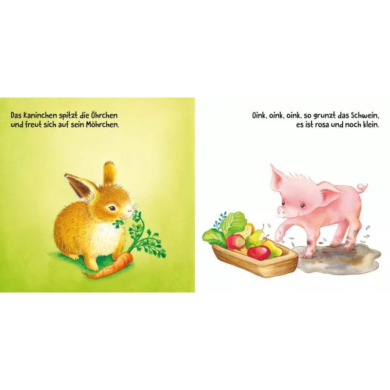 Thumbnail - Meine lieben Tiere, Kinderbücher von Florian Ahle, Denitza Gruber