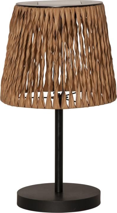 Produktbild Star Trading Tischdekoration Cesta (IP44)