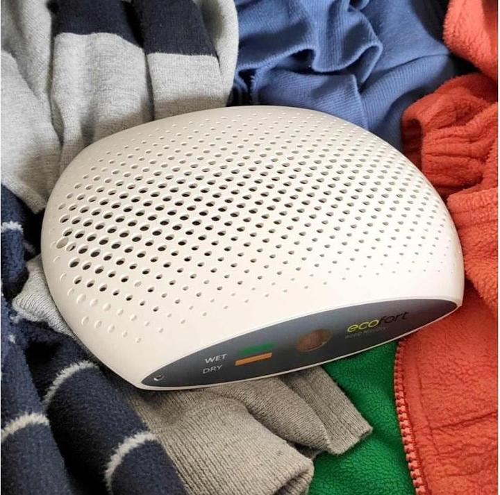 Produktbild ecofort ecoQ MiniDry (0.25 l/24h)