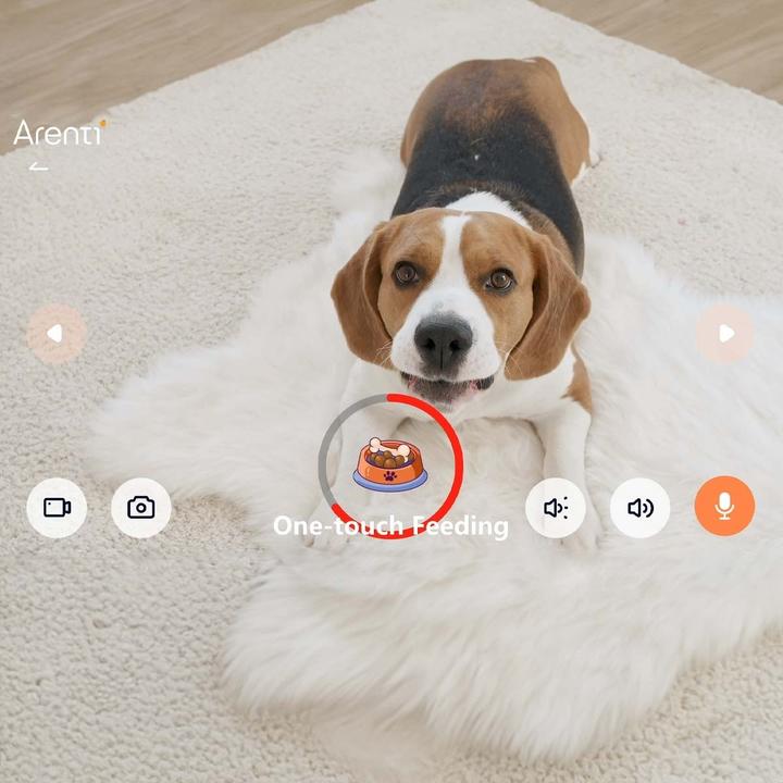 Actual product image Arenti Petcam (2048 x 1536 pixels)