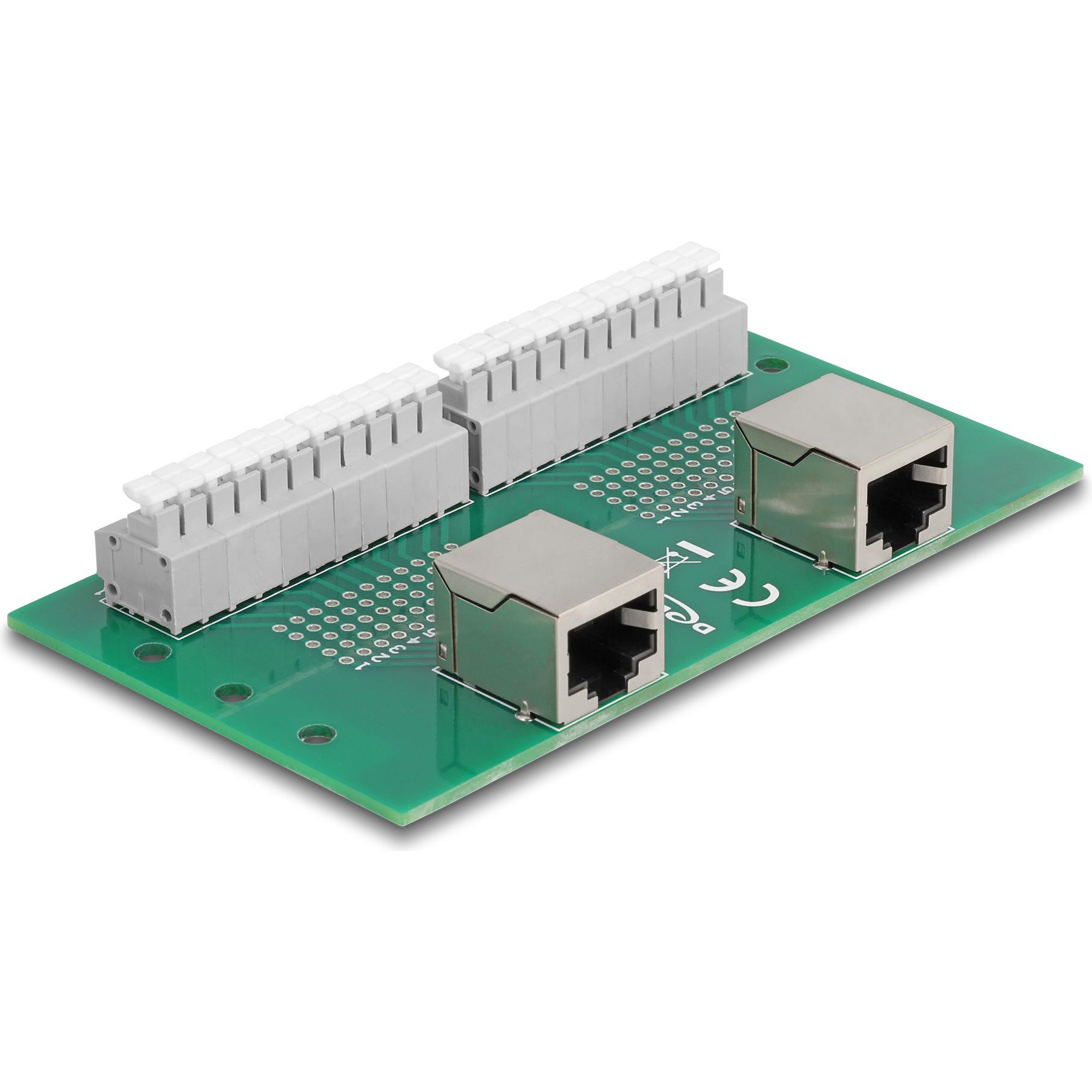 Delock RJ50 da 2 x presa a 2 x morsettiera con pulsante per guida top-hat, Accessori di rete