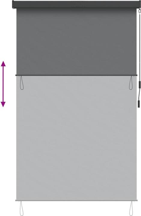 Produktbild vidaXL Outdoor Rollo (120 x 250 cm)