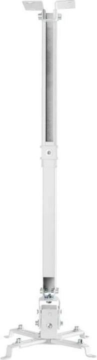 Actual product image Iggual SPTP01 (Ceiling, Wall)