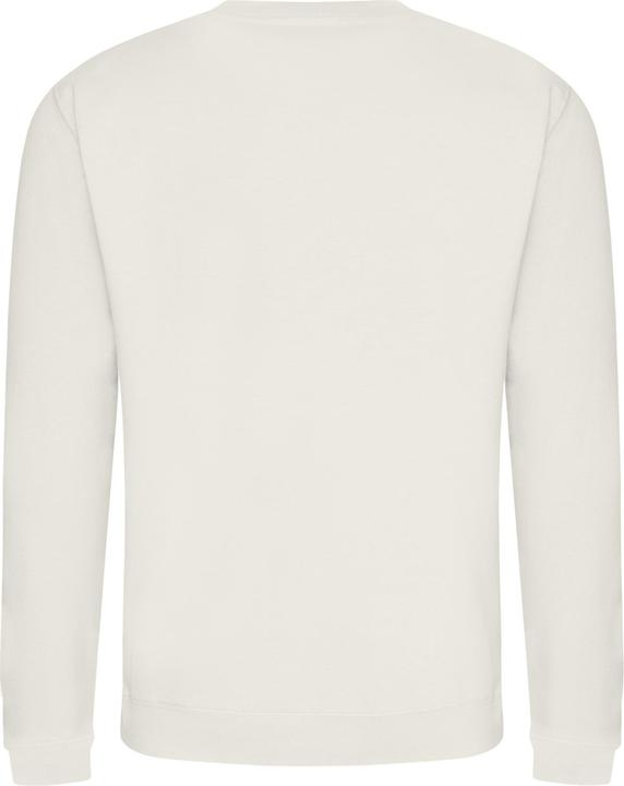 Actual product image Awdis UTRW2014 P (S)