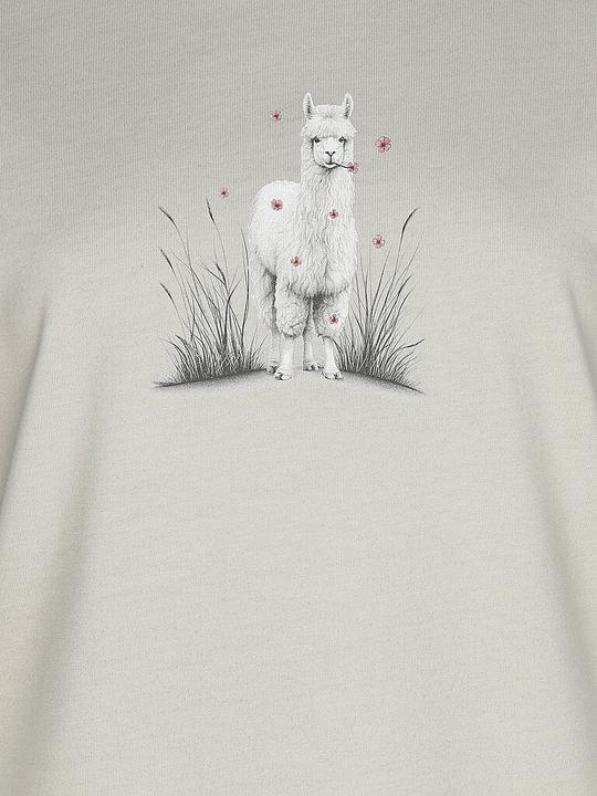 Produktbild Chillaz Klettershirt Alpaca Meadow (S)