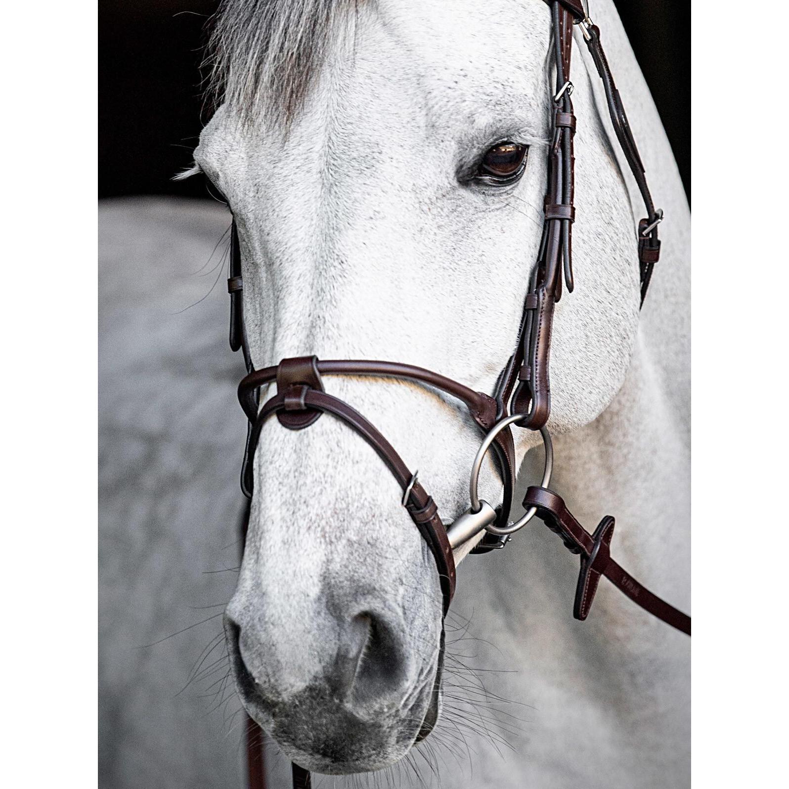 Thumbnail - Equiline, Reiterbedarf