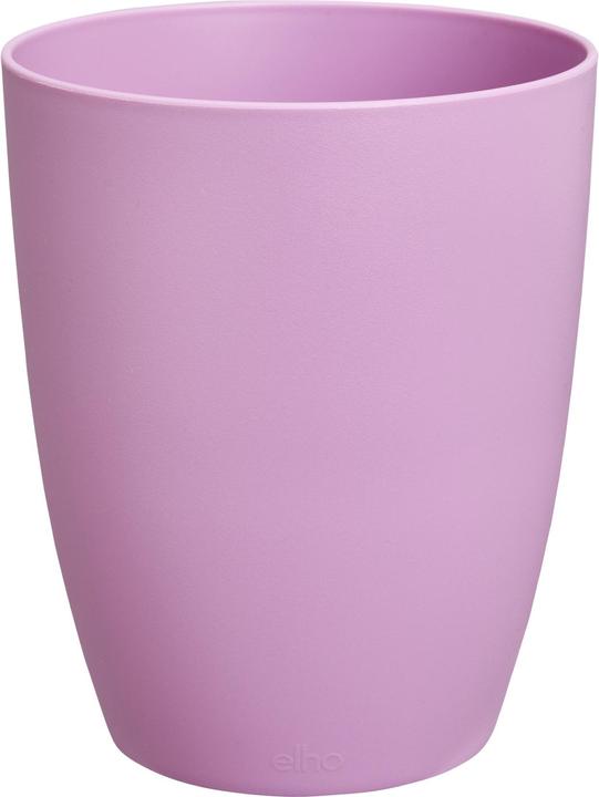 Produktbild Elho Brussels Orchidee Hoch (13 cm)