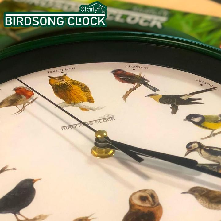 Actual product image Starlyf Birdsong Clock