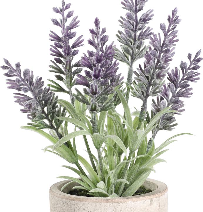 Immagine prodotto EGLO Pianta artificiale (22 cm)