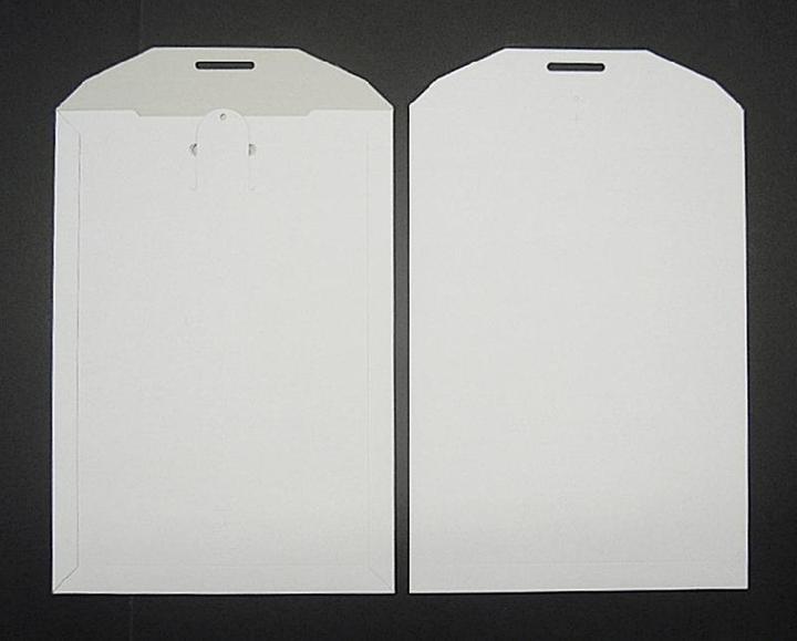 Produktbild Blanke Vollpapptaschen 320x455mm 500g/qm ohne VE=100 Stück (100 x)