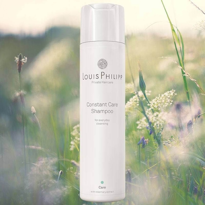 Actual product image Louis Philipp Color Care Shampoo (250 ml, Liquid shampoo)