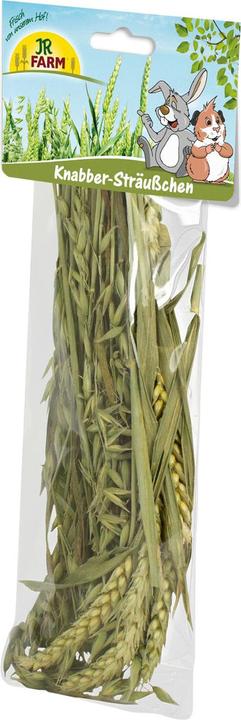 Actual product image JR Farm Nibble Bouquet 25g (0.03 kg, 1 x)